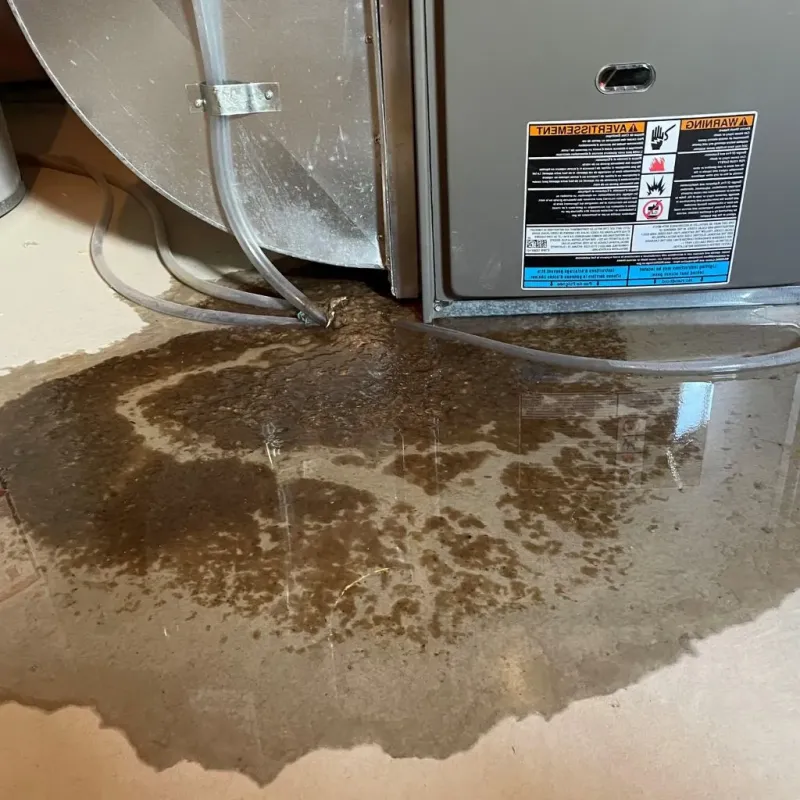 Pipe Burst and Leak Restoration in Ellettsville, IN