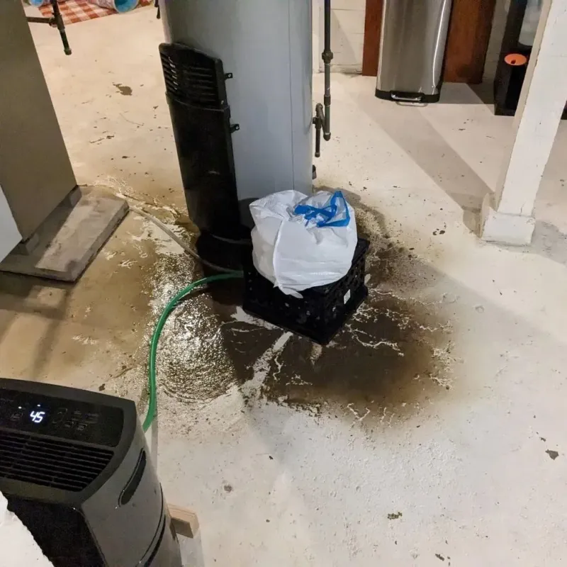 Sewage Backup Cleanup Service in Ellettsville, IN